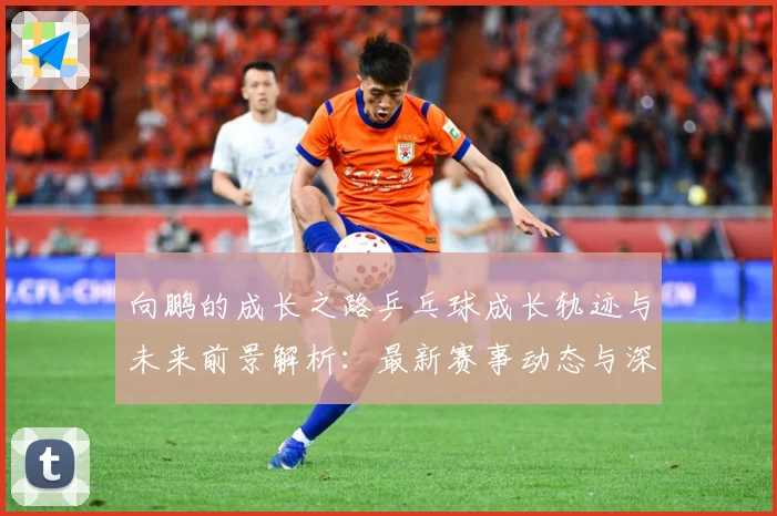 向鹏的成长之路乒乓球成长轨迹与未来前景解析：最新赛事动态与深度分析